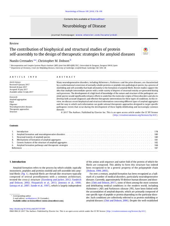 The contribution of biophysical and structural studies of protein self-assembly to the design of therapeutic strategies for amyloid diseases