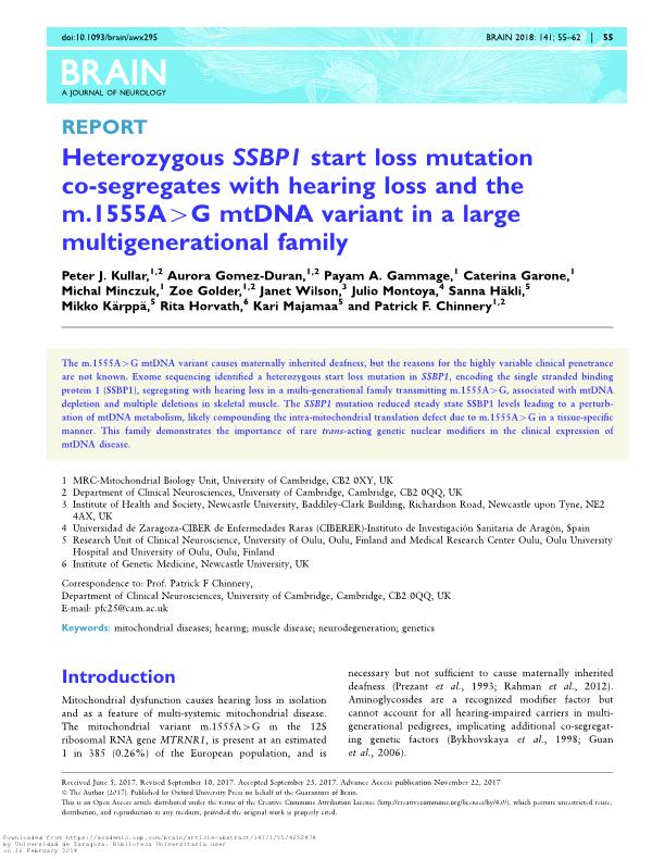 Heterozygous SSBP1 start loss mutation co-segregates with hearing loss and the m.1555A>G mtDNA variant in a large multigenerational family