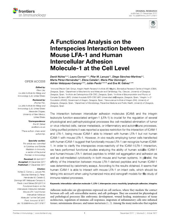 A functional analysis on the interspecies interaction between mouse LFA-1 and human intercellular adhesion molecule-1 at the cell level