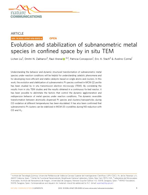 Evolution and stabilization of subnanometric metal species in confined space by in situ TEM