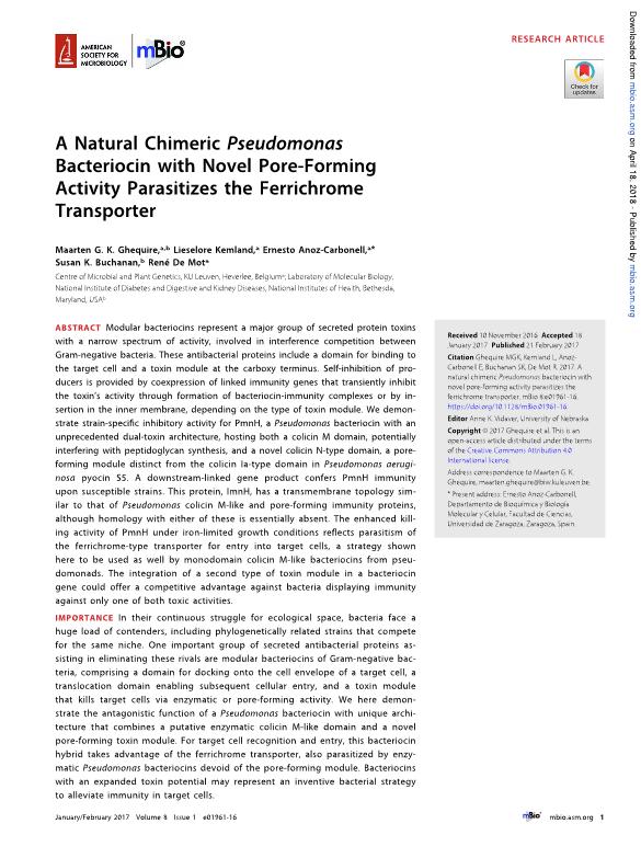 A Natural Chimeric Pseudomonas Bacteriocin with Novel Pore-Forming Activity Parasitizes the Ferrichrome Transporter