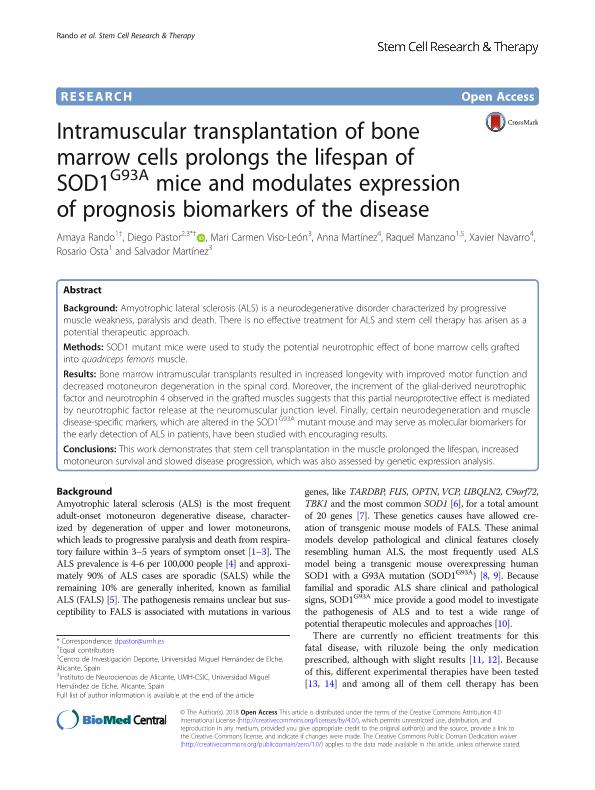 Intramuscular transplantation of bone marrow cells prolongs the lifespan of SOD1G93A mice and modulates expression of prognosis biomarkers of the disease