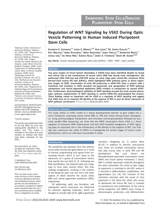 Regulation of WNT Signaling by VSX2 During Optic Vesicle Patterning in Human Induced Pluripotent Stem Cells