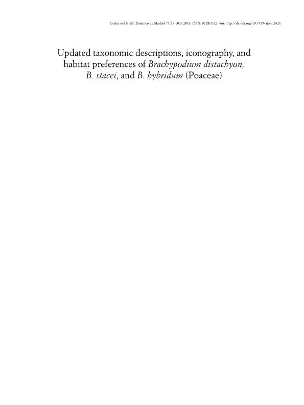 Updated taxonomic descriptions, iconography, and habitat preferences of Brachypodium distachyon, B-stacei, and B-hybridum (Poaceae)