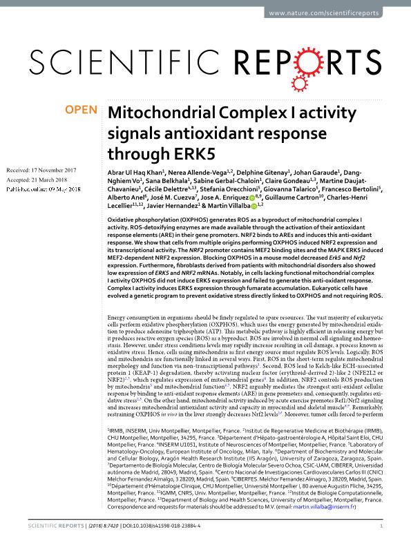 Mitochondrial complex I activity signals antioxidant response through ERK5