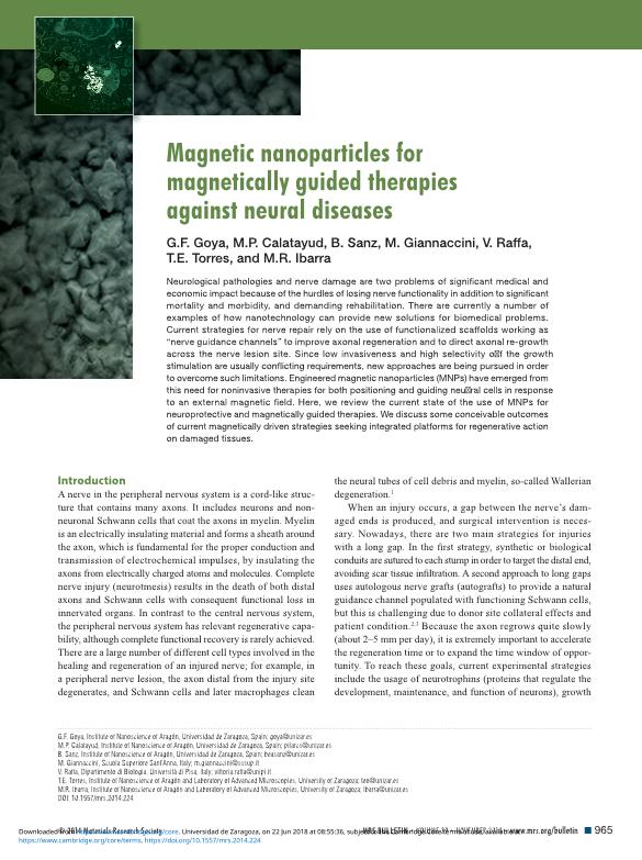 Magnetic nanoparticles for magnetically guided therapies against neural diseases