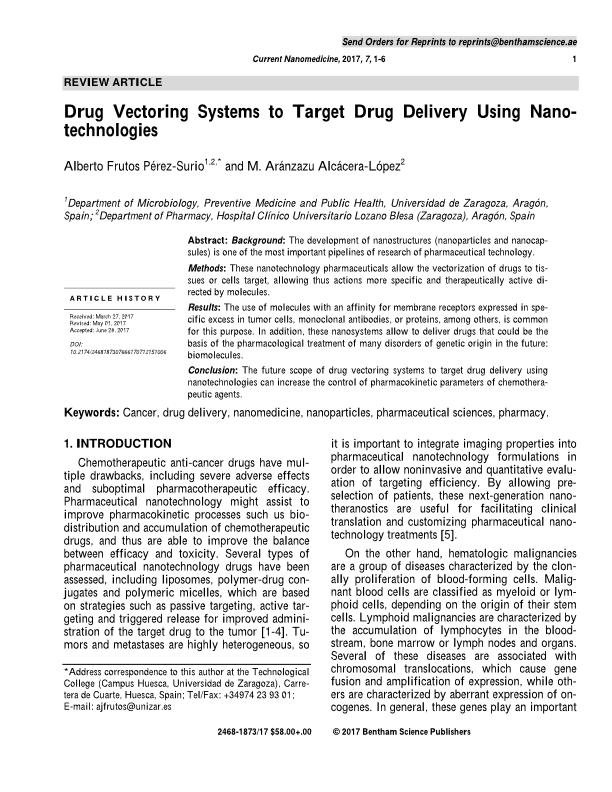 Drug vectoring systems to target drug delivery using nanotechnologies
