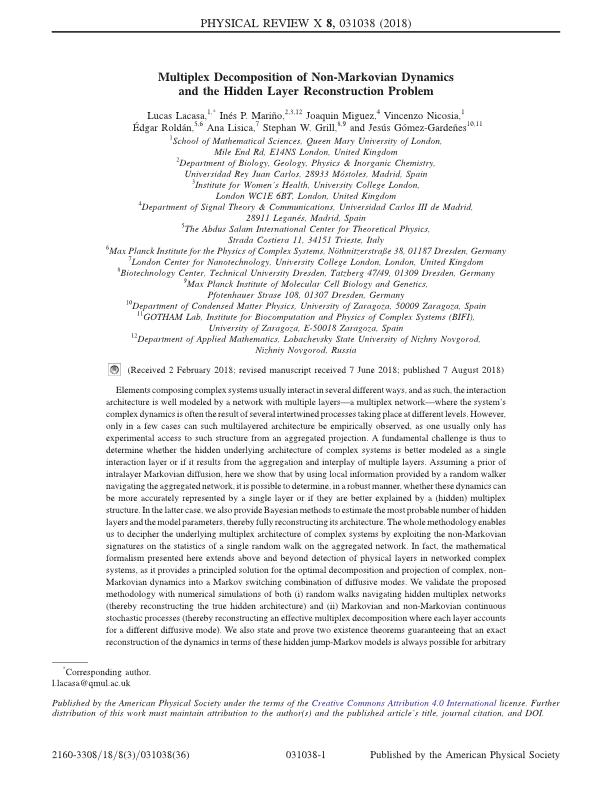 Multiplex Decomposition of Non-Markovian Dynamics and the Hidden Layer Reconstruction Problem