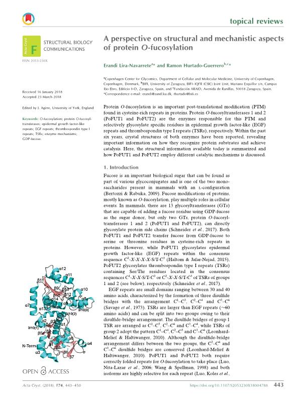 A perspective on structural and mechanistic aspects of protein O-fucosylation