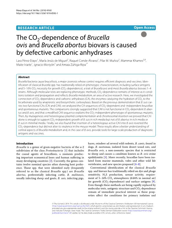 The CO2-dependence of Brucella ovis and Brucella abortus biovars is caused by defective carbonic anhydrases