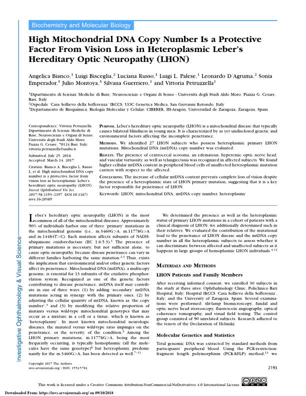High mitochondrial DNA copy number is a protective factor from vision loss in heteroplasmic leber’s hereditary optic neuropathy (LHON)