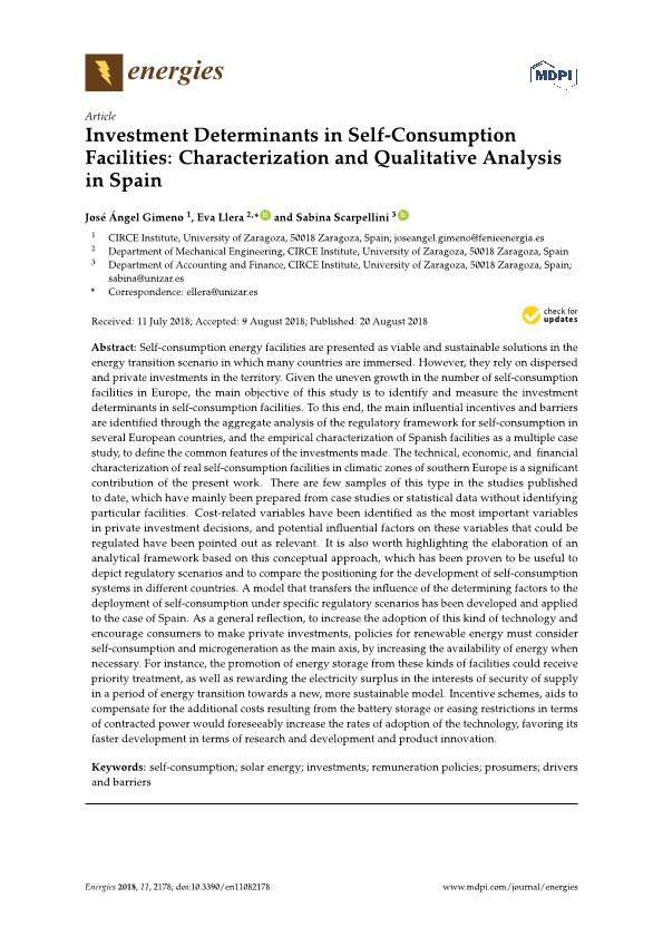 Investment determinants in self-consumption facilities: characterization and qualitative analysis in Spain