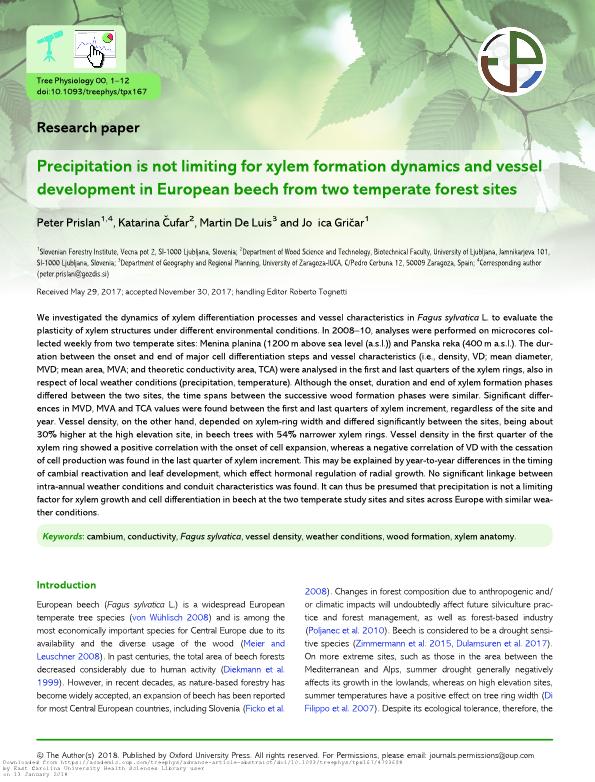 Precipitation is not limiting for xylem formation dynamics and vessel development in European beech from two temperate forest sites