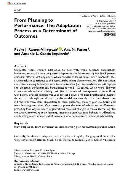 From planning to performance: the adaptation process as a determinant of outcomes