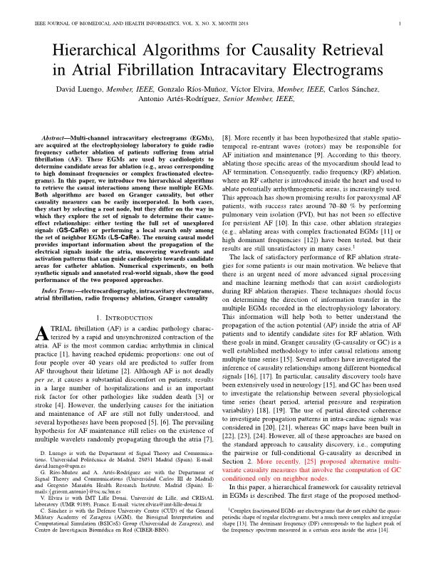 Hierarchical algorithms for causality retrieval in atrial fibrillation intracavitary electrograms