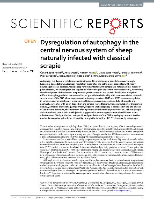 Dysregulation of autophagy in the central nervous system of sheep naturally infected with classical scrapie