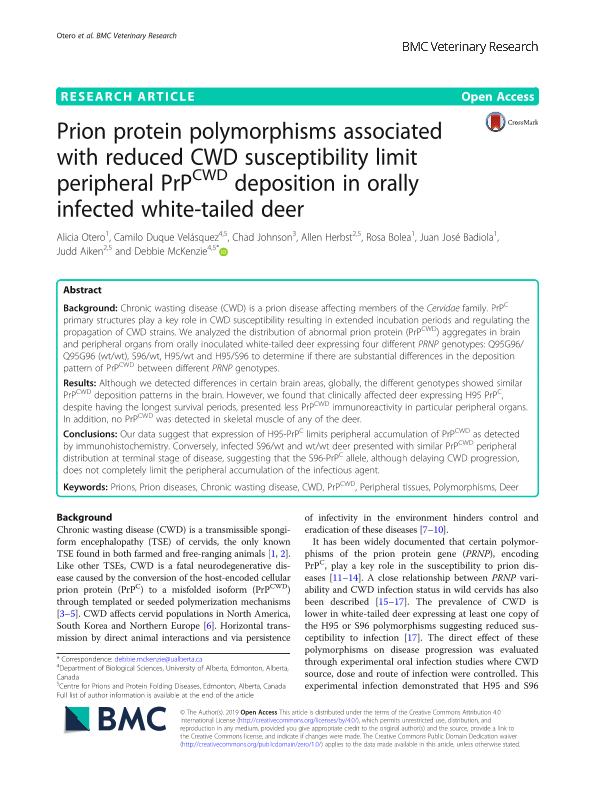 Prion protein polymorphisms associated with reduced CWD susceptibility limit peripheral PrPCWD deposition in orally infected white-tailed deer