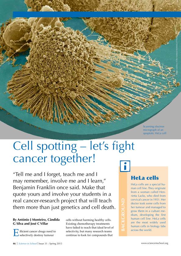 Cell spotting – let’s fight cancer together!