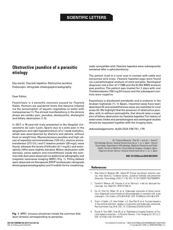 Obstructive jaundice of a parasitic etiology