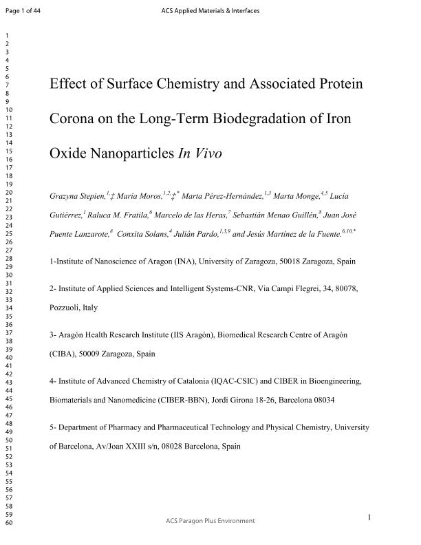 Effect of surface chemistry and associated protein corona on the long-term biodegradation of iron oxide nanoparticles in Vivo