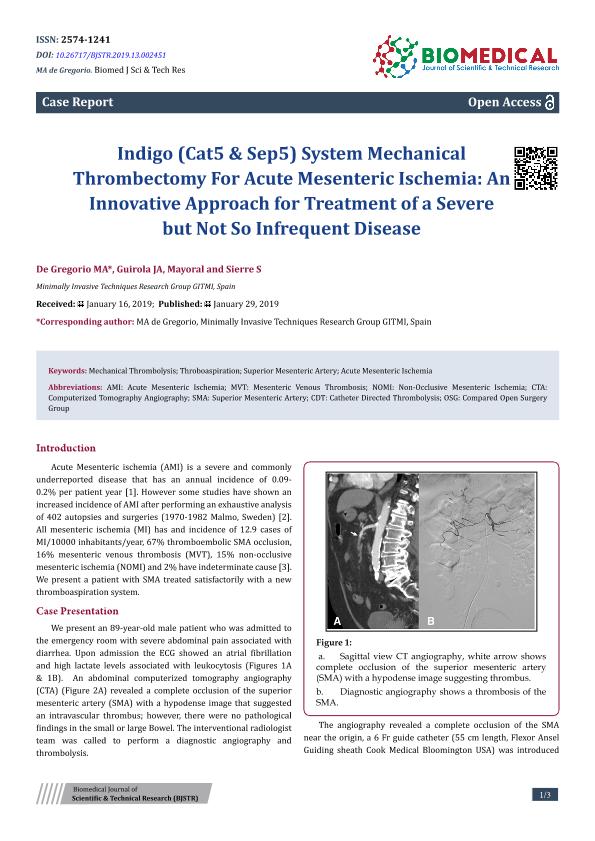 Indigo (Cat5 & Sep5) System mechanical thrombectomy for acute mesenteric ischemia: an innovative approach for treatment of a severe but not so infrequent disease