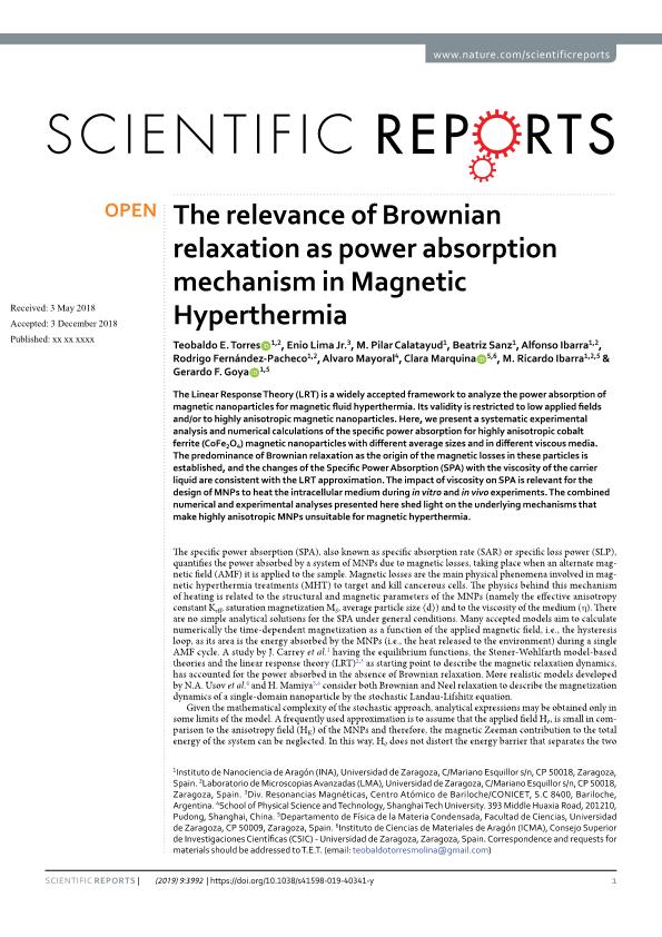 The relevance of Brownian relaxation as power absorption mechanism in Magnetic Hyperthermia