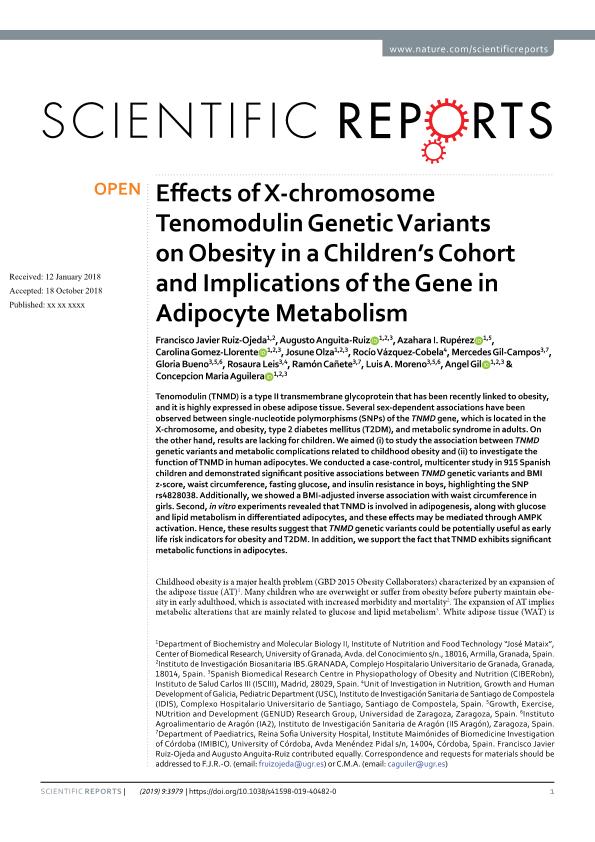 Effects of X-chromosome Tenomodulin Genetic Variants on Obesity in a Children’s Cohort and Implications of the Gene in Adipocyte Metabolism
