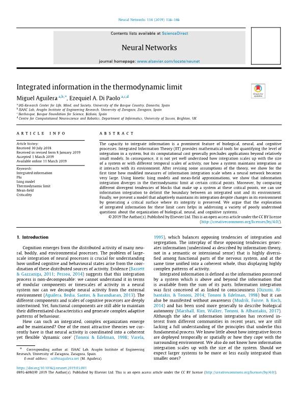 Integrated information in the thermodynamic limit