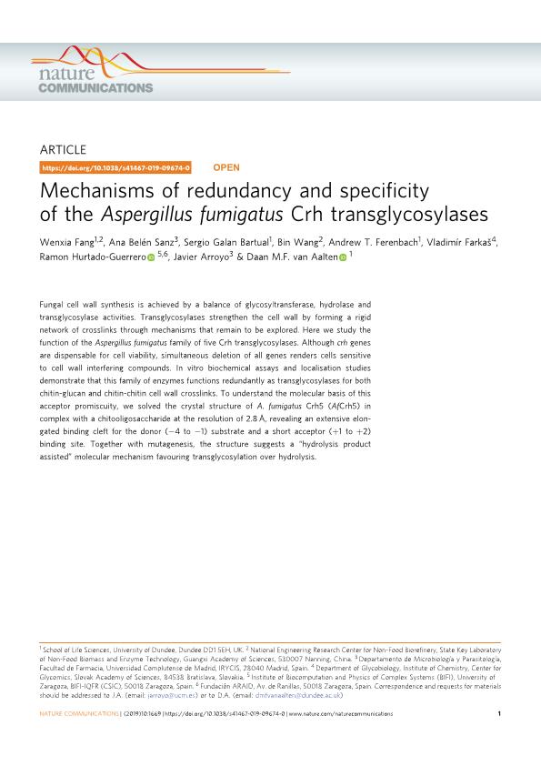 Mechanisms of redundancy and specificity of the Aspergillus fumigatus Crh transglycosylases