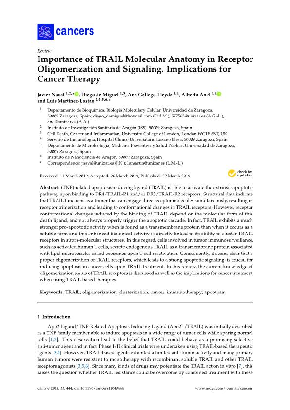 Importance of TRAIL molecular anatomy in receptor oligomerization and signaling. Implications for cancer therapy