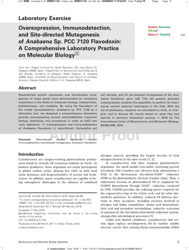 Overexpression, immunodetection and site-directed mutagenesis of Anabaena sp. PCC 7120 flavodoxin: a comprehensive laboratory practice on molecular biology