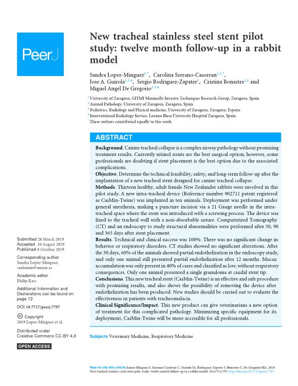 New tracheal stainless steel stent pilot study: twelve month follow-up in a rabbit model