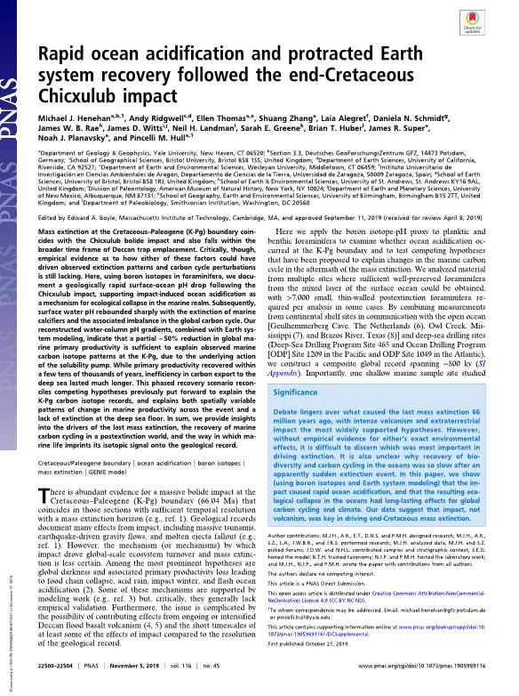 Rapid ocean acidification and protracted Earth system recovery followed the end-Cretaceous Chicxulub impact