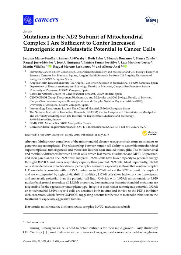 Mutations in the ND2 subunit of mitochondrial complex I are sufficient to confer increased tumorigenic and metastatic potential to cancer cells