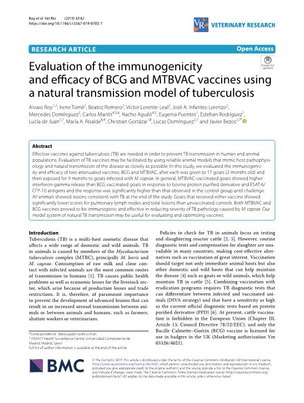 Evaluation of the immunogenicity and efficacy of BCG and MTBVAC vaccines using a natural transmission model of tuberculosis