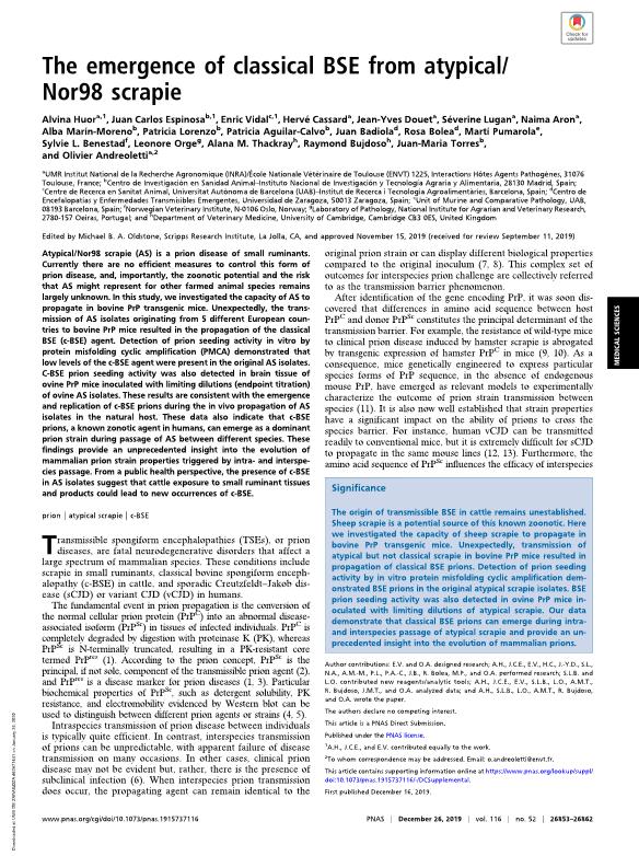 The emergence of classical BSE from atypical/Nor98 scrapie