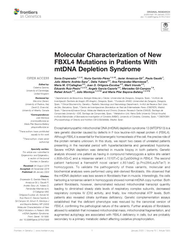 Molecular characterization of new FBXL4 mutations in patients with mtDNA depletion syndrome