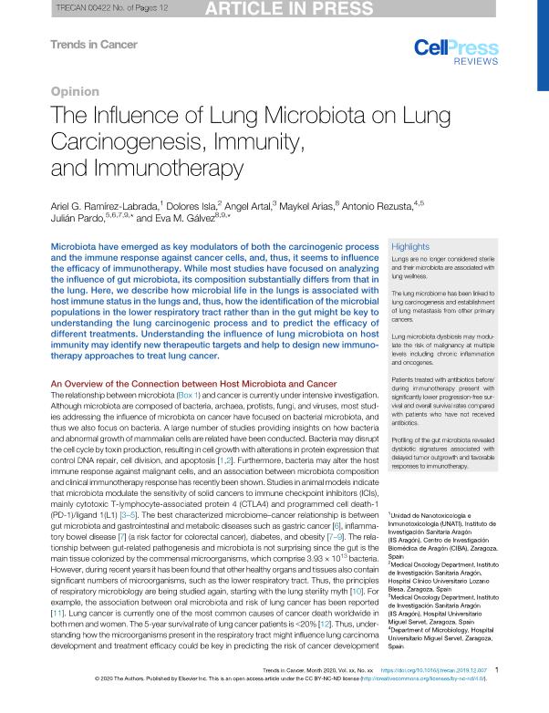 The influence of lung microbiota on lung carcinogenesis, immunity and immunotherapy