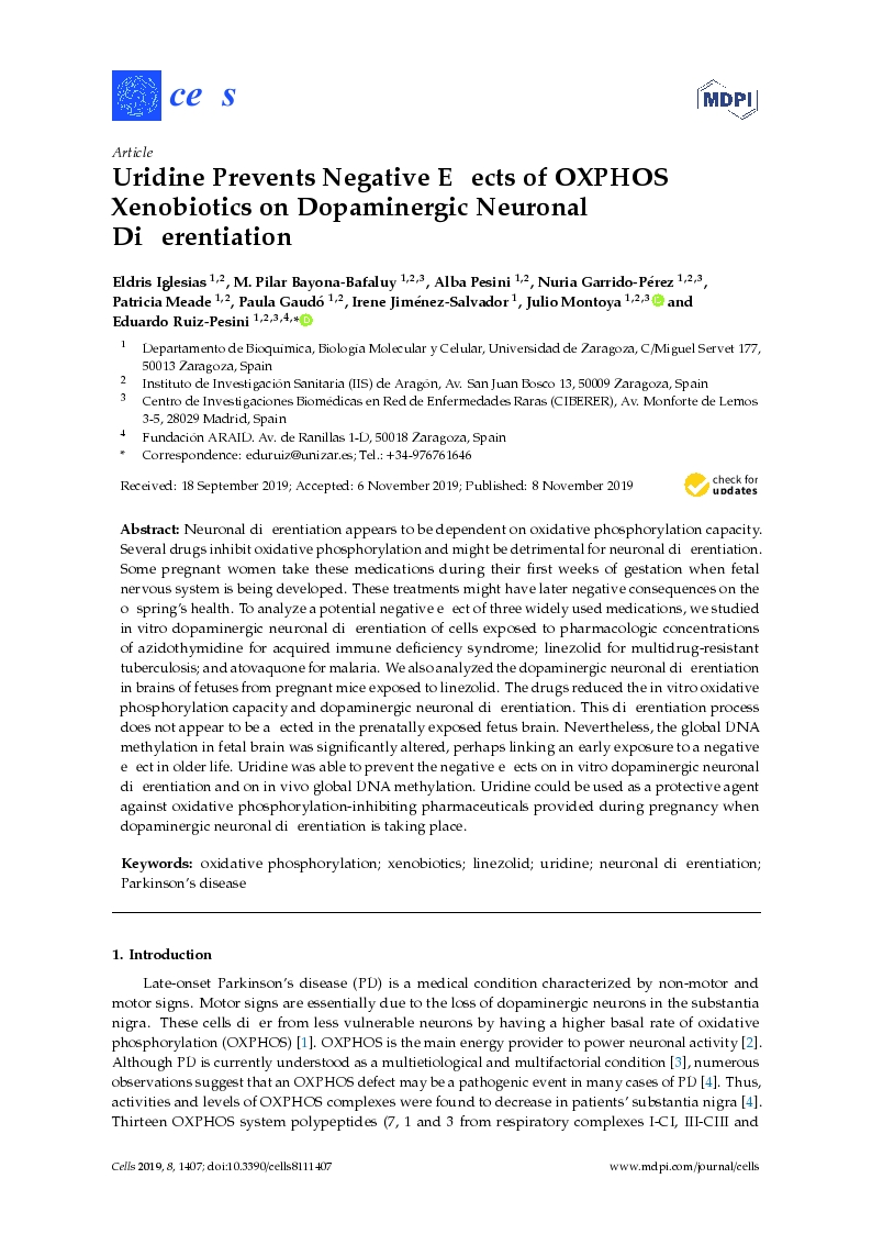 Uridine Prevents Negative Effects of OXPHOS Xenobiotics on Dopaminergic Neuronal Differentiation