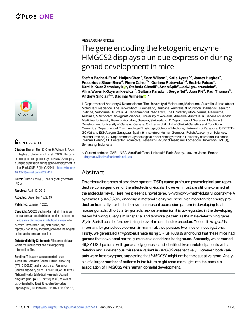 The gene encoding the ketogenic enzyme HMGCS2 displays a unique expression during gonad development in mice