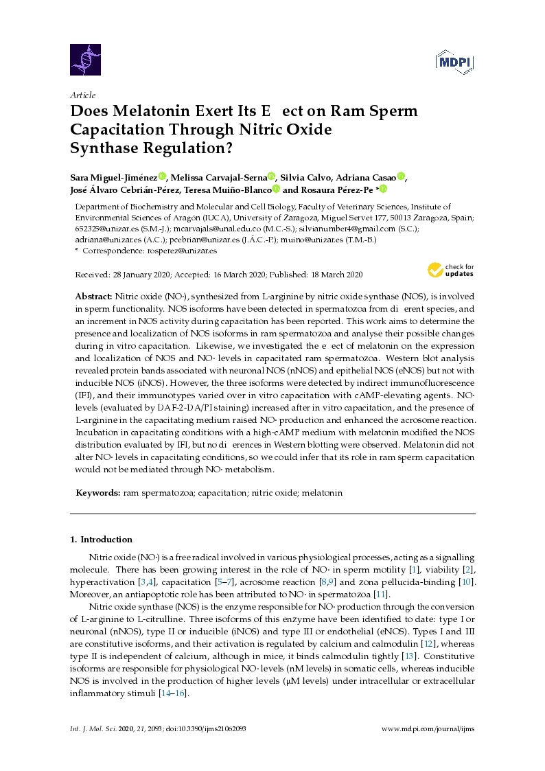 Does melatonin exert its effect on ram sperm capacitation through nitric oxide synthase regulation?
