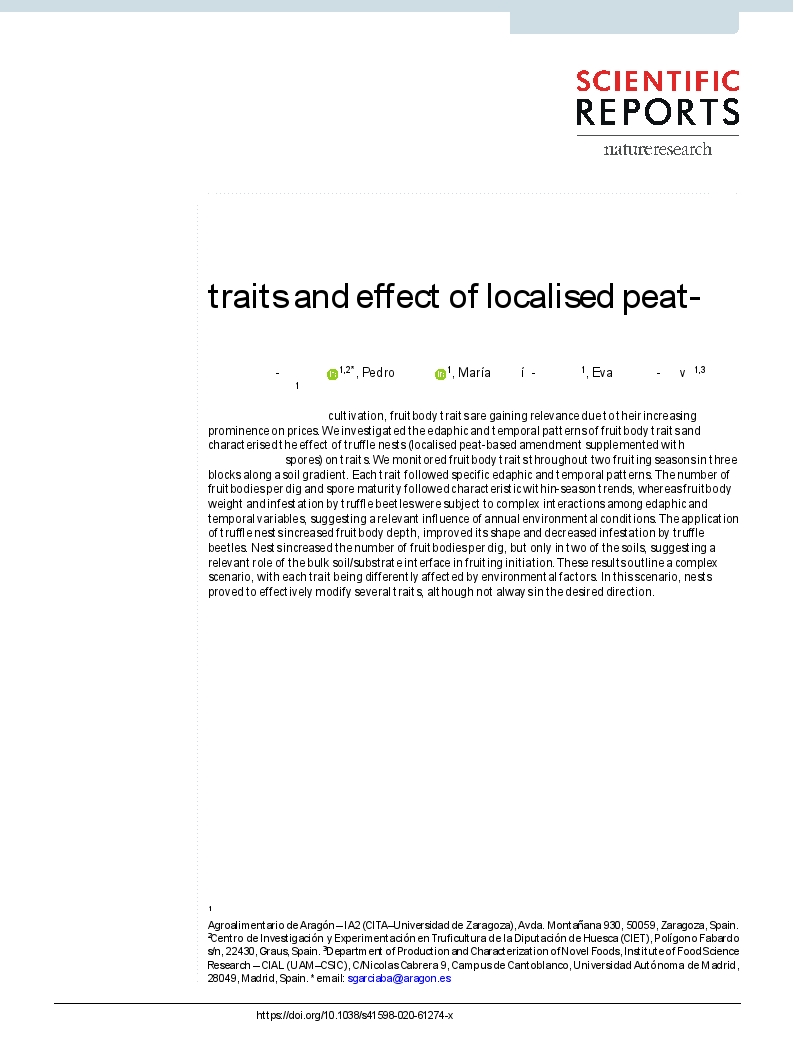 Edaphic and temporal patterns of Tuber melanosporum fruitbody traits and effect of localised peat-based amendment