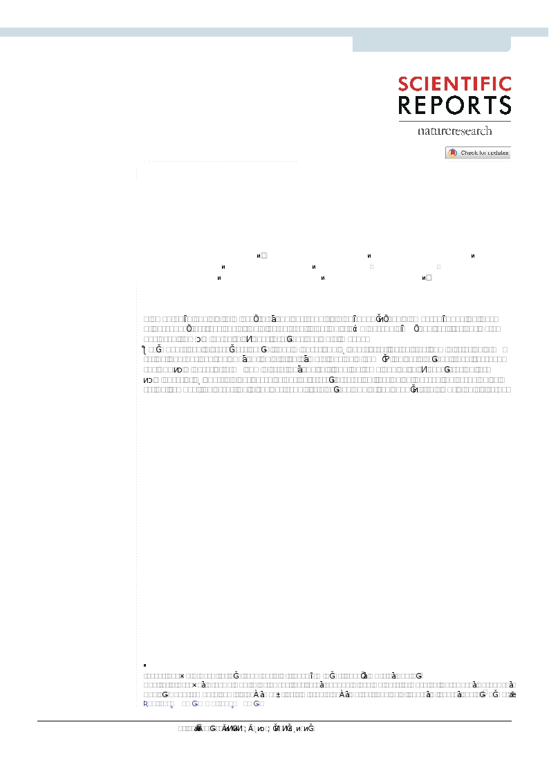 Tracing the retina to analyze the integrity and phagocytic capacity of the retinal pigment epithelium