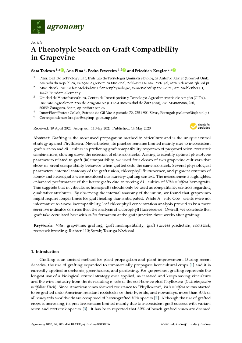 A phenotypic search on graft compatibility in grapevine
