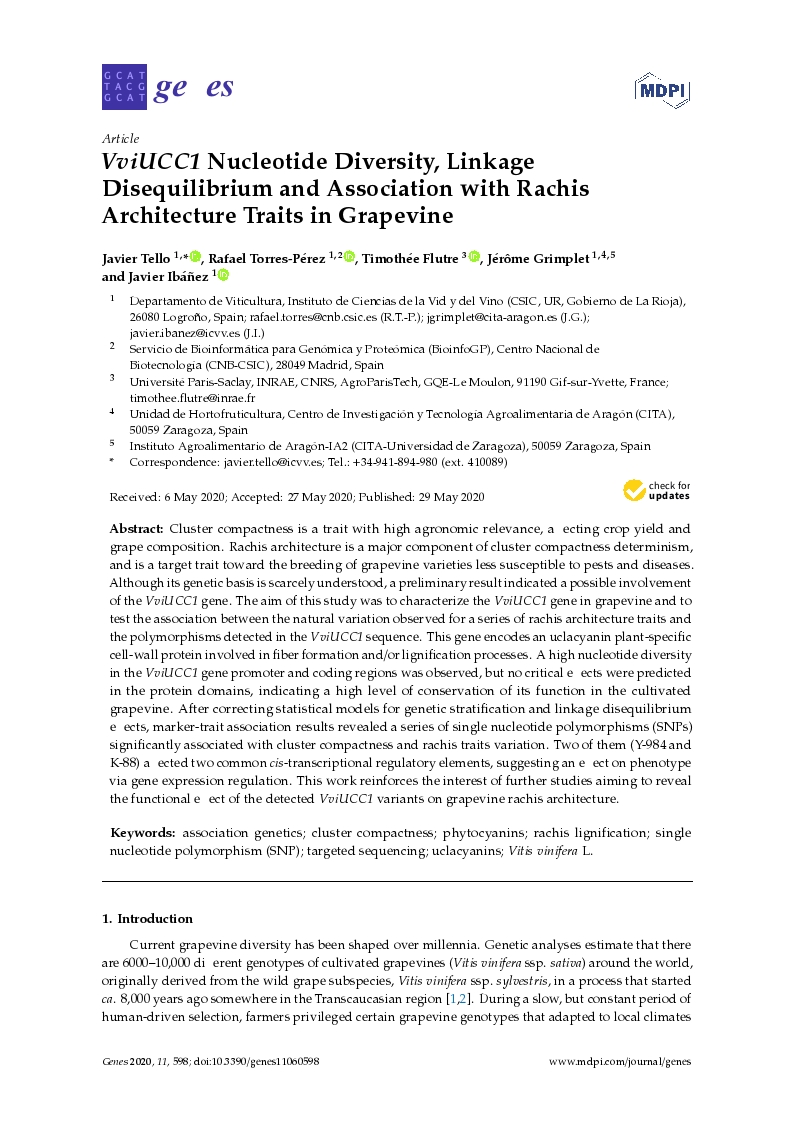 Vviucc1 nucleotide diversity, linkage disequilibrium and association with rachis architecture traits in grapevine