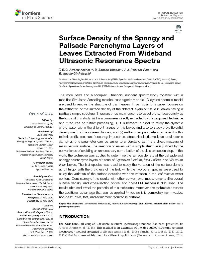 Surface Density of the Spongy and Palisade Parenchyma Layers of Leaves Extracted From Wideband Ultrasonic Resonance Spectra