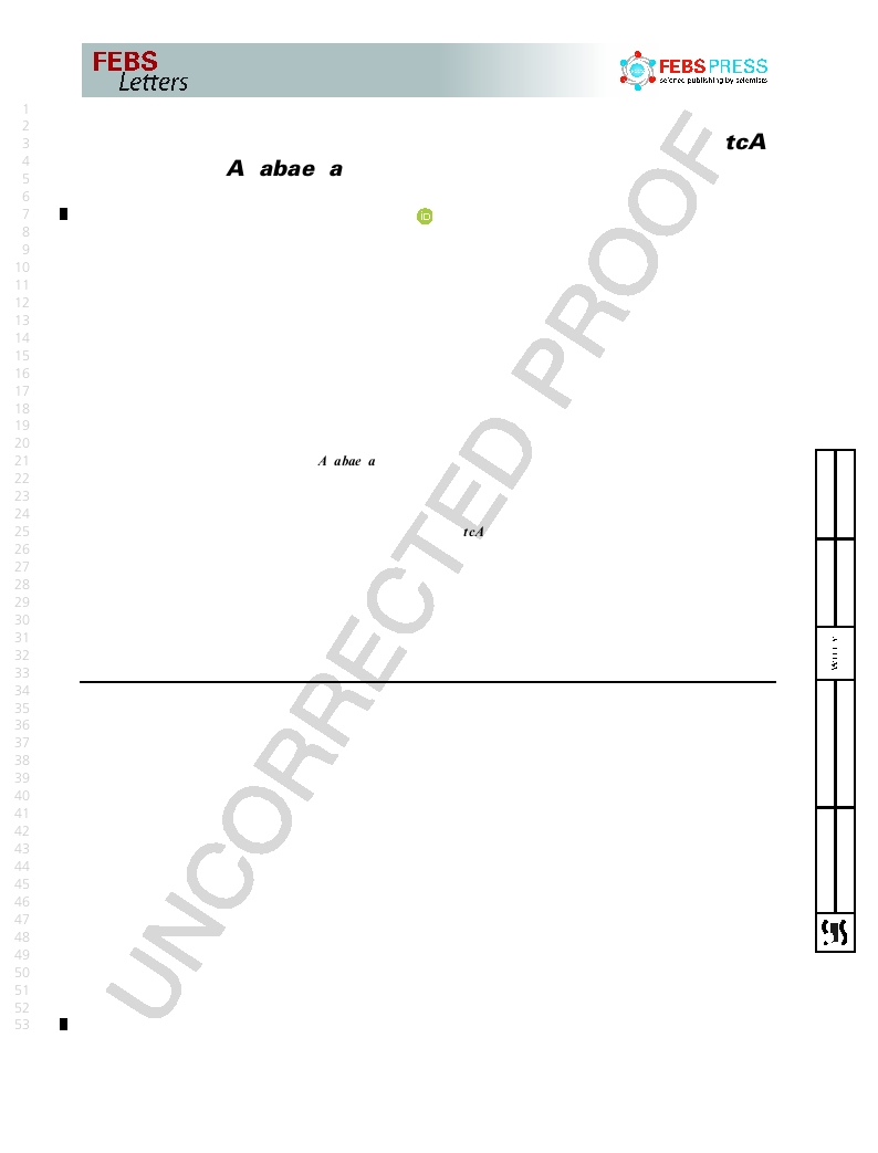 2-oxoglutarate modulates the affinity of FurA for the ntcA promoter in Anabaena sp. PCC 7120