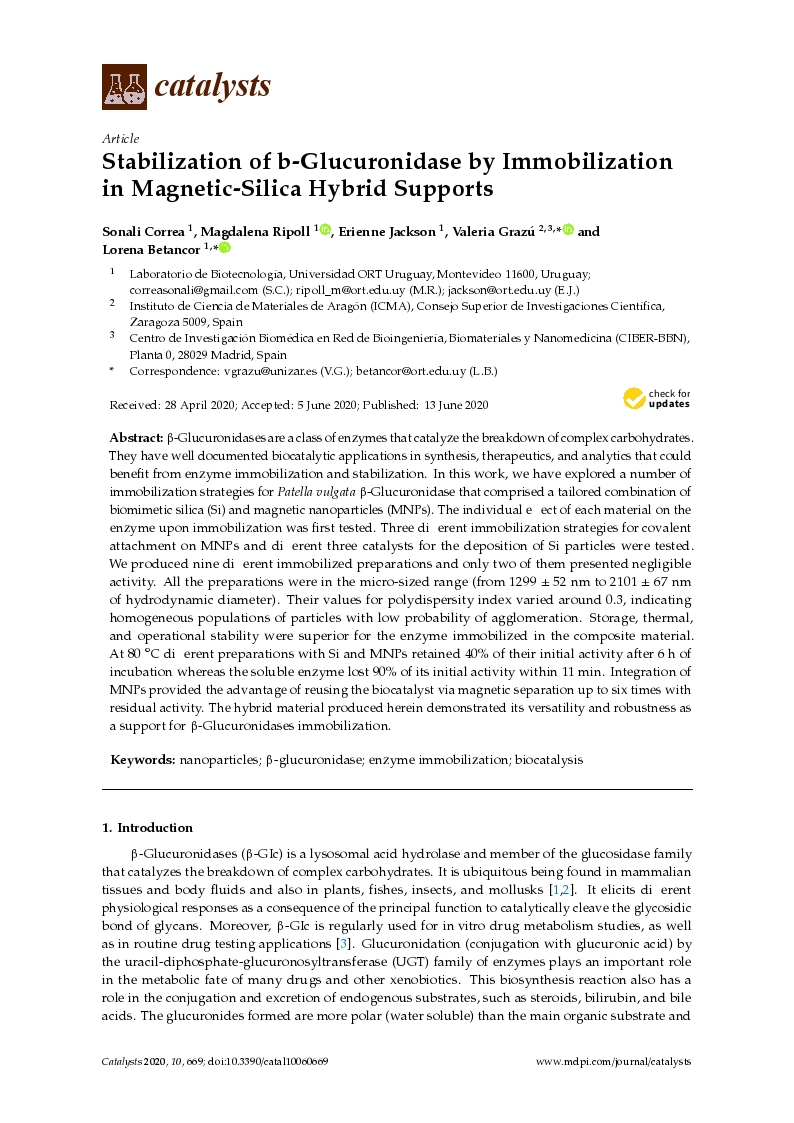 Stabilization of b-Glucuronidase by Immobilization in Magnetic-Silica Hybrid Supports