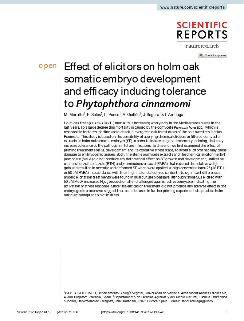 Effect of elicitors on holm oak somatic embryo development and efficacy inducing tolerance to Phytophthora cinnamomi