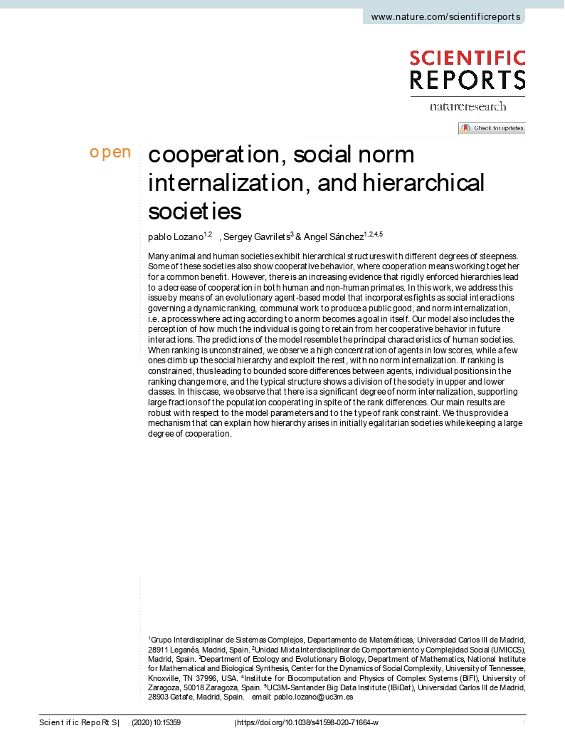 Cooperation, social norm internalization, and hierarchical societies